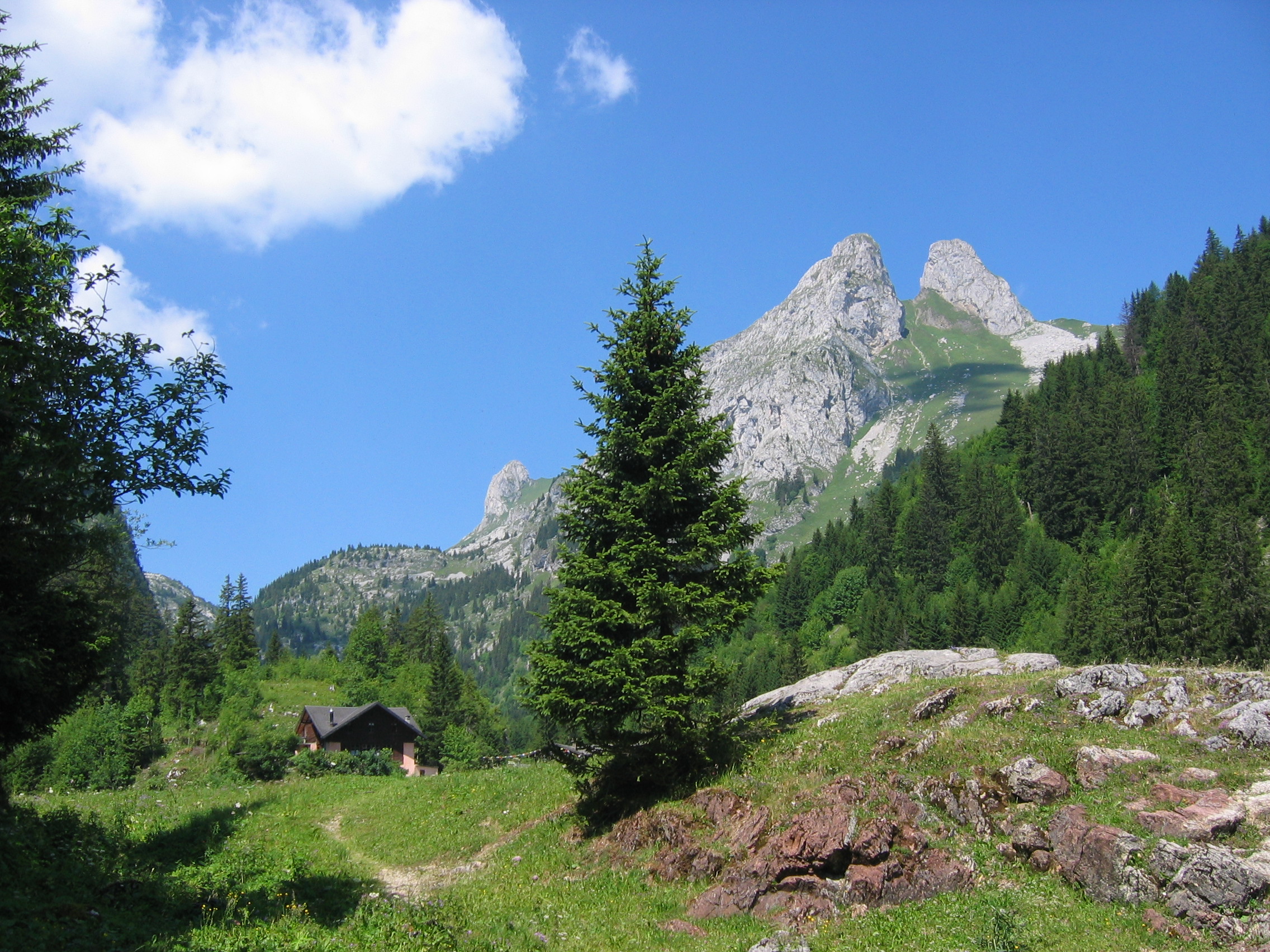 Du changement en ce qui concerne l'accès au lac de Taney